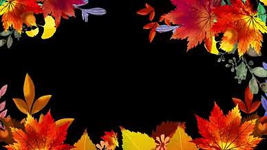 手绘风MG秋天枫叶树叶动画背景边框模板视频的预览图